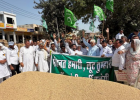 कैथल मंडी में धान खरीद को लेकर INLD का प्रदर्शन, MSP पर खरीद और किसानों की समस्याएं दूर करने की मांग