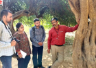 हरियाणा में औषधीय पौधों पर मंडराया संकट, मोरनी पहाड़ियों और अरावली की वनस्पति घटने की चेतावनी