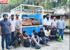 खैर के पेड़ों की अवैध कटाई के मामले में 7 लोग गिरफ्तार, वन विभाग ने लकड़ी की बरामद