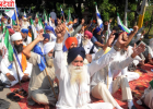 झोटा को न्याय दिलाने के लिए AAP विधायकों के घरों और दफ्तरों के बाहर धरना, सरकार के खिलाफ नारेबाजी
