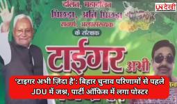 ‘टाइगर अभी ज़िंदा है’: बिहार चुनाव परिणामों से पहले JDU में जश्न, पार्टी ऑफिस में लगा पोस्टर