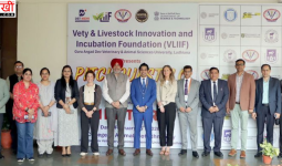 गडवासु की वीएलआईआईएफ ने ‘पिचक्वेस्ट 2.0’ का किया आयोजन