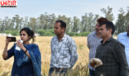 कैथल DC अपराजिता ने की फसल गिरदावरी की जांच, सटीकता पर दिया जोर