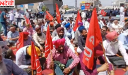 लुधियाना में बिजली कर्मचारियों का विशाल प्रदर्शन, पावरकॉम जमीन बिक्री और बिजली बिल के खिलाफ विरोध