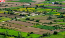 YEIDA प्लॉट स्कीम 2026 लॉन्च, नोएडा इंटरनेशनल एयरपोर्ट के पास 973 प्लॉट उपलब्ध