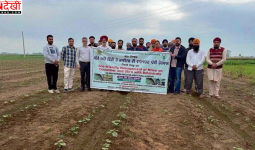 पीएयू के वैज्ञानिकों ने किसानों को सिखाए कीट नियंत्रण के पर्यावरण-अनुकूल तरीके
