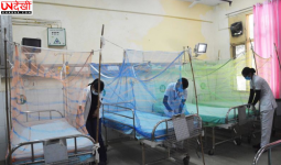 लुधियाना में डेंगू का खतरा बढ़ा, सिविल अस्पताल में 40 बेड का विशेष वार्ड तैयार