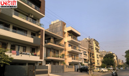 Punjab and Haryana High Court ने हरियाणा की S+4 नीति पर लगाई रोक, सार्वजनिक सुरक्षा पर जताई चिंता