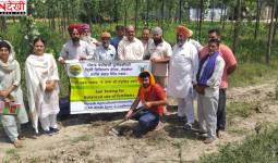 लंगरोया में किसानों को जागरूक करने के लिए कैंप, पराली प्रबंधन और मिट्टी की सेहत पर जोर