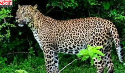 बुलंदशहर में जन्मदिन पार्टी बनी खूनी, जिम में तीन लोगों की गोली मारकर हत्या