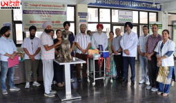 विश्व पशु चिकित्सा दिवस पर पशु स्वास्थ्य शिविर का आयोजन