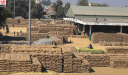 हरियाणा में ‘घोस्ट धान खरीद’ घोटाले पर बड़ी कार्रवाई, खाद्य आपूर्ति विभाग के 5 अधिकारी बर्खास्त
