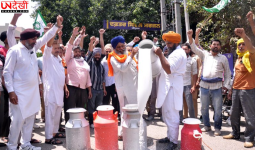 मिलावटी दूध के खिलाफ डेयरी किसानों का प्रदर्शन, डीसी ऑफिस के बाहर बहाया दूध