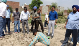 बरनाला में पेड़ों की अवैध कटाई पर नया मोड़: NGT की सिफारिशों के बावजूद अज्ञात लोगों पर FIR, अधिकारियों पर नहीं हुई कार्रवाई