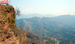 मोरनी हिल्स में पर्यटन को मिलेगा बड़ा बढ़ावा, हरियाणा सरकार लाएगी नई होटल-गेस्ट हाउस नीति