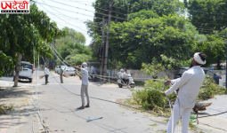 करनाल में भीषण आंधी-तूफान का कहर, 194 बिजली पोल और 85 ट्रांसफॉर्मर क्षतिग्रस्त, लाखों का नुकसान