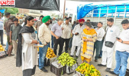 गर्मी में फलों की बढ़ी मांग, स्वास्थ्य विभाग अलर्ट: बाजारों से लिए गए आम, पपीता और केले के सैंपल