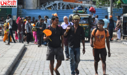 धान रोपाई सीजन ने बढ़ाई मजदूरों की आमद, यूपी-बिहार से पंजाब पहुंचे हजारों प्रवासी श्रमिक