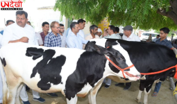 ICAR–NDRI करनाल की बड़ी सफलता: 100 गांवों में नस्ल सुधार मॉडल से डेयरी उत्पादन में बड़ा बदलाव