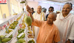 यूपी के आम को वैश्विक ब्रांड बनाने की तैयारी, योगी आदित्यनाथ बोले- उत्पादन नहीं, वैल्यू चेन और निर्यात पर दें जोर