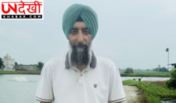 कपूरथला के किसान ने अपनाई इंटीग्रेटेड फार्मिंग, मछली पालन-पशुपालन और खेती से घटाई लागत, बढ़ाई आमदनी