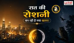 रात की रोशनी बन रही है नया खतरा! क्या शहरों की चमक छीन रही है इंसानों की नींद और वन्यजीवों की जिंदगी?