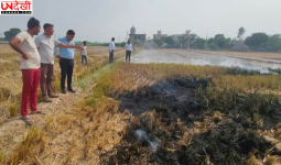 कुरुक्षेत्र में पराली जलाने पर जीरो टॉलरेंस की तैयारी, 680 से अधिक नोडल अधिकारी मैदान में तैनात