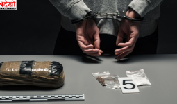 हरियाणा पुलिस ने तैयार किया 45,207 सक्रिय अपराधियों का डेटाबेस, 26,026 का हुआ सत्यापन