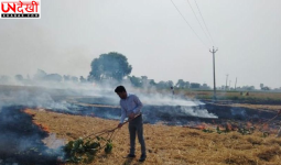 पराली जलाने की घटनाओं में बड़ी गिरावट, पंजाब के जिले में अब तक सिर्फ 23 मामले; इंडस्ट्री में हो रहा धान के भूसे का इस्तेमाल
