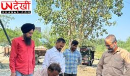 पंजाब में खाद्य सुरक्षा विभाग की बड़ी कार्रवाई, 50 किलो खराब गुड़ नष्ट, मसालों के 5 सैंपल लिए
