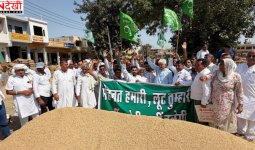 कैथल मंडी में धान खरीद को लेकर INLD का प्रदर्शन, MSP पर खरीद और किसानों की समस्याएं दूर करने की मांग