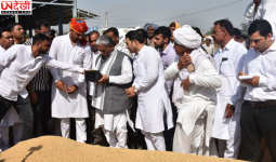 कैथल अनाज मंडी पहुंचे मंत्री कृष्ण लाल पंवार, धान खरीद व्यवस्था का लिया जायजा; किसानों ने MSP पर खरीद न होने की शिकायत की