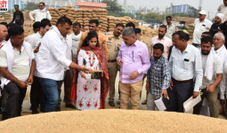 कैथल में धान खरीद पर प्रशासन सख्त, राइस मिलों के स्टॉक की होगी जांच