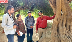 हरियाणा में औषधीय पौधों पर मंडराया संकट, मोरनी पहाड़ियों और अरावली की वनस्पति घटने की चेतावनी