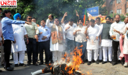 झोटा हत्याकांड पर BJP का प्रदर्शन, CM भगवंत मान का पुतला फूंका; CBI जांच की मांग