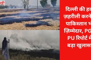 दिल्ली की हवा ज़हरीली करने में पाकिस्तान भी ज़िम्मेदार, PGI-PU रिपोर्ट में बड़ा खुलासा