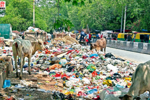 AAP ने मोहाली में चंडीगढ़ के कचरे के अवैध निपटान को लेकर BJP की निंदा की।