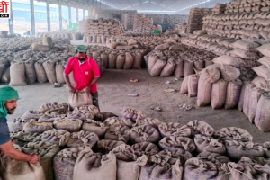 Nayab Singh Saini ने धान खरीद घोटाले के आरोपों को बताया बेबुनियाद