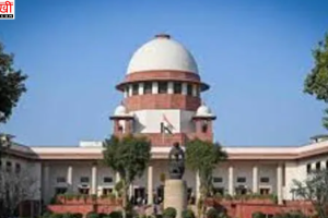 41 साल तक लंबित रही हत्या अपील पर सुप्रीम कोर्ट की सख्त टिप्पणी, इलाहाबाद हाईकोर्ट में बढ़ते लंबित मामलों पर फिर उठे सवाल