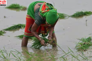 यूपी में फिर सक्रिय होगा मानसून, इस सप्ताहांत से बारिश की वापसी; पूर्वी जिलों से होगी शुरुआत