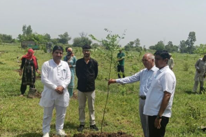 फतेहाबाद में 20 साल बाद कब्जे से मुक्त हुई 9 एकड़ पंचायत भूमि, प्रशासन ने ग्राम पंचायत को सौंपी