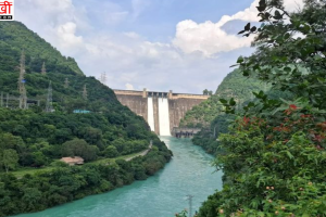 पंजाब के प्रमुख बांधों में पानी पिछले साल से कम, मानसून कमजोर पड़ने से भाखड़ा जलाशय 64% ही भरा