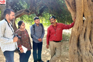 हरियाणा में औषधीय पौधों पर मंडराया संकट, मोरनी पहाड़ियों और अरावली की वनस्पति घटने की चेतावनी