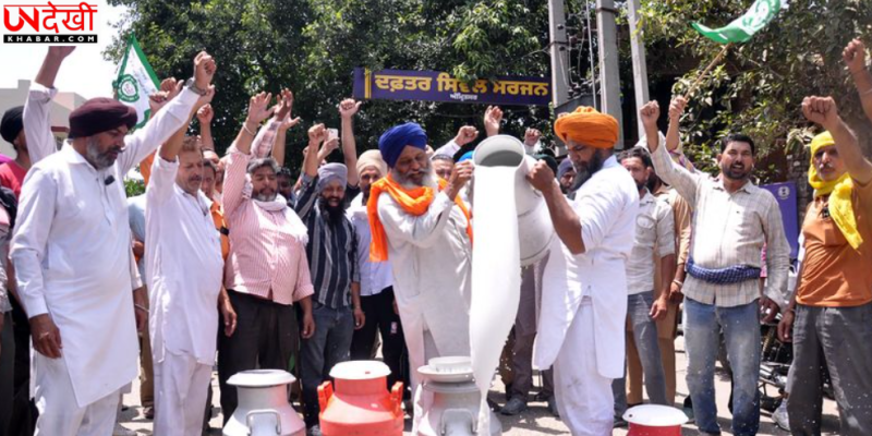 मिलावटी दूध के खिलाफ डेयरी किसानों का प्रदर्शन, डीसी ऑफिस के बाहर बहाया दूध