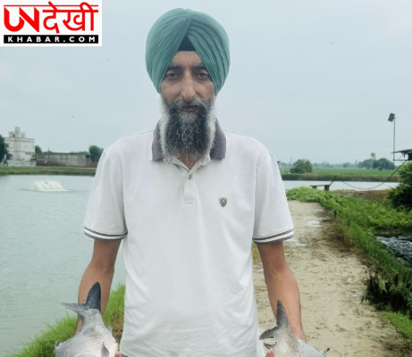 कपूरथला के किसान ने अपनाई इंटीग्रेटेड फार्मिंग, मछली पालन-पशुपालन और खेती से घटाई लागत, बढ़ाई आमदनी